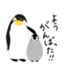 博多に住む皇帝ペンギンの親子（個別スタンプ：36）