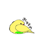 セキセイインコのぱるちゃん（個別スタンプ：1）