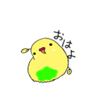 セキセイインコのぱるちゃん（個別スタンプ：2）