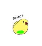 セキセイインコのぱるちゃん（個別スタンプ：4）