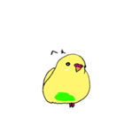 セキセイインコのぱるちゃん（個別スタンプ：5）