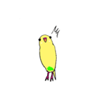 セキセイインコのぱるちゃん（個別スタンプ：8）
