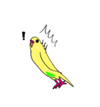 セキセイインコのぱるちゃん（個別スタンプ：9）