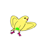 セキセイインコのぱるちゃん（個別スタンプ：12）