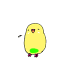 セキセイインコのぱるちゃん（個別スタンプ：13）