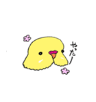 セキセイインコのぱるちゃん（個別スタンプ：19）