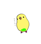 セキセイインコのぱるちゃん（個別スタンプ：22）