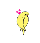 セキセイインコのぱるちゃん（個別スタンプ：26）