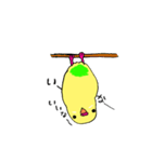 セキセイインコのぱるちゃん（個別スタンプ：27）