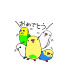 セキセイインコのぱるちゃん（個別スタンプ：34）