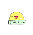 セキセイインコのぱるちゃん（個別スタンプ：37）