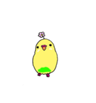 セキセイインコのぱるちゃん（個別スタンプ：38）