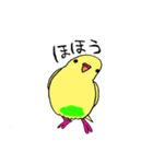 セキセイインコのぱるちゃん（個別スタンプ：40）