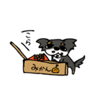 チワワのコロ助（個別スタンプ：2）