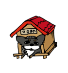 チワワのコロ助（個別スタンプ：11）