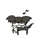 チワワのコロ助（個別スタンプ：12）