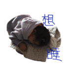 minmin's life（個別スタンプ：39）