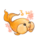 金魚の水泡眼 トマトちゃん（個別スタンプ：11）