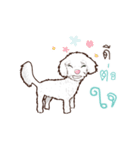 Pretty Maltese Dog（個別スタンプ：8）