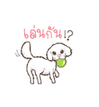 Pretty Maltese Dog（個別スタンプ：22）