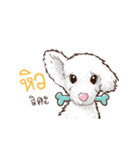 Pretty Maltese Dog（個別スタンプ：35）