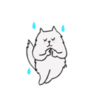 T T cat（個別スタンプ：24）