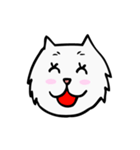 C C cat (face)（個別スタンプ：2）