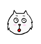 C C cat (face)（個別スタンプ：9）