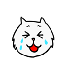 C C cat (face)（個別スタンプ：10）