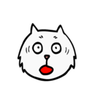 C C cat (face)（個別スタンプ：12）