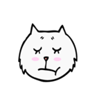 C C cat (face)（個別スタンプ：15）