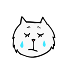 C C cat (face)（個別スタンプ：16）