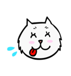 C C cat (face)（個別スタンプ：22）