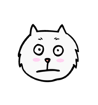 C C cat (face)（個別スタンプ：24）
