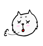 C C cat (face)（個別スタンプ：28）