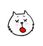 C C cat (face)（個別スタンプ：38）