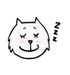 C C cat (face)（個別スタンプ：39）