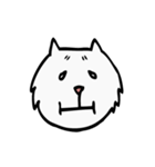 C C cat (face)（個別スタンプ：40）
