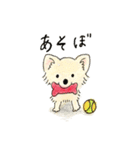 わんことママの日常スタンプ（個別スタンプ：29）