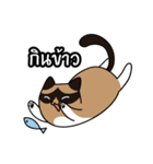niyacat（個別スタンプ：1）