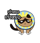 niyacat（個別スタンプ：2）