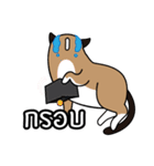 niyacat（個別スタンプ：9）