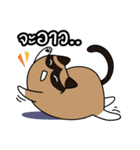 niyacat（個別スタンプ：10）
