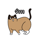 niyacat（個別スタンプ：11）