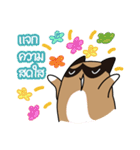niyacat（個別スタンプ：13）