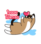 niyacat（個別スタンプ：14）