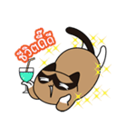 niyacat（個別スタンプ：16）
