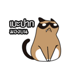 niyacat（個別スタンプ：24）