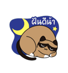 niyacat（個別スタンプ：26）