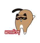niyacat（個別スタンプ：29）